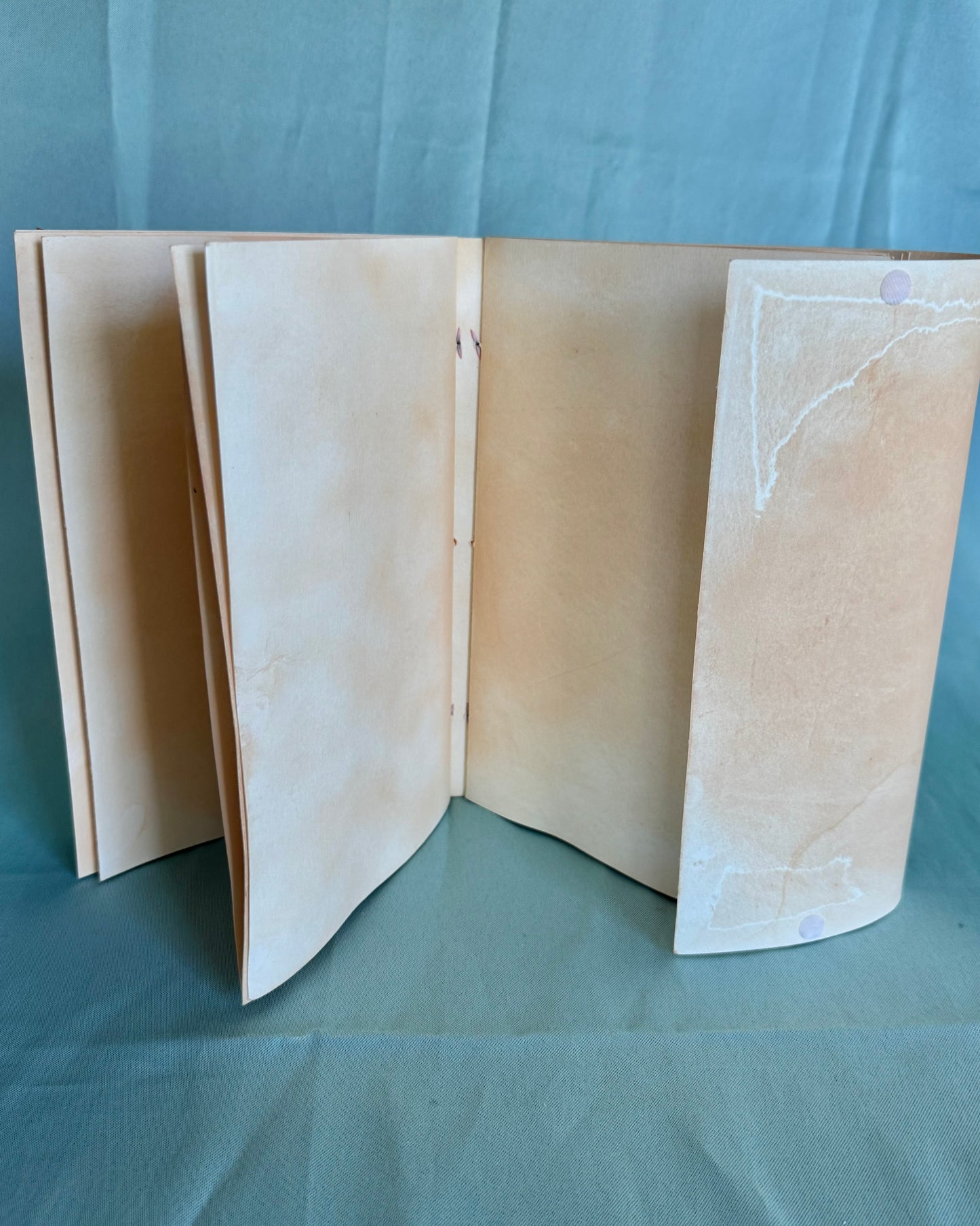 “The Coral Zone” Art Journal