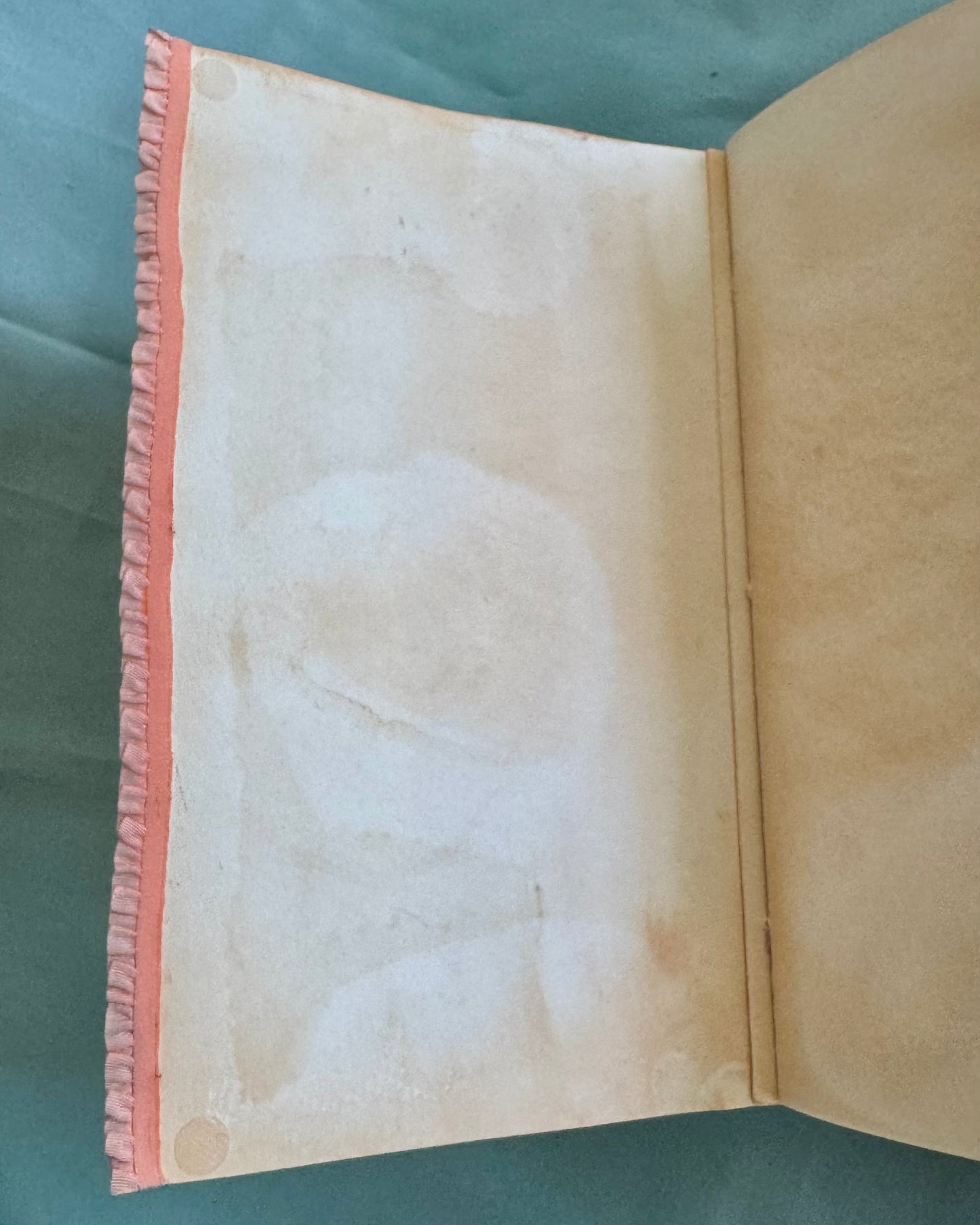 “The Coral Zone” Art Journal